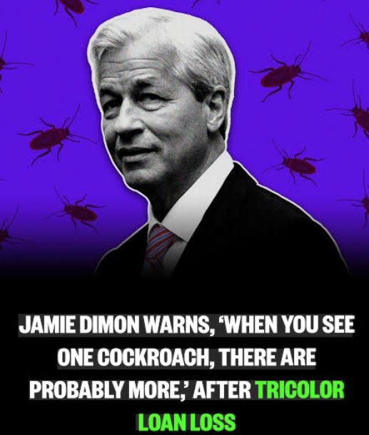 Image of Jamie Dimon with his warning that when you see one cockroach there are probably more, after the Tricolor loan loss